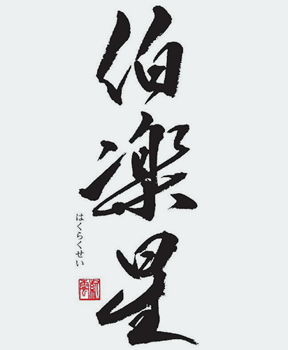 東洋美人